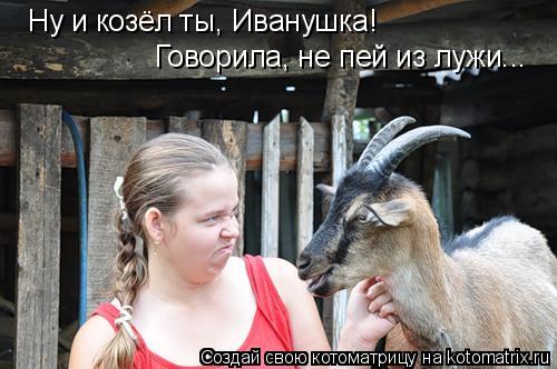 Ну и козёл ты, Иванушка! Говорила, не пей из лужи...... Котоматрица: Ну и козёл ты, Иванушка! Говорила, не пей из лужи...