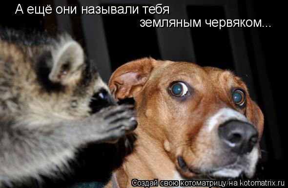 А ещё они называли тебя земляным червяком...... Котоматрица: А ещё они называли тебя земляным червяком...
