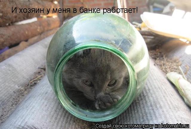 И хозяин у меня в банке работает!... Котоматрица: И хозяин у меня в банке работает!