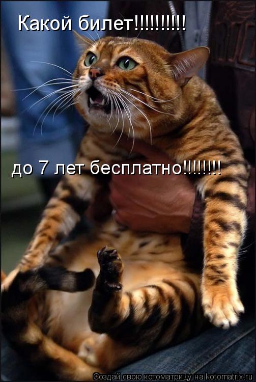 Котоматрица: Какой билет!!!!!!!!!! до 7 лет бесплатно!!!!!!!!