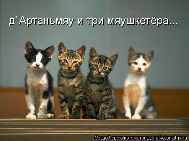 д`Артаньмяу и три мяушкетёра...... Котоматрица: д`Артаньмяу и три мяушкетёра...
