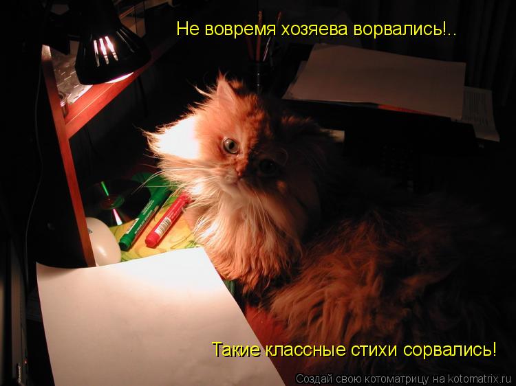 Не вовремя хозяева ворвались!.. Такие классные стихи сорвались!... Котоматрица: Не вовремя хозяева ворвались!.. Такие классные стихи сорвались!