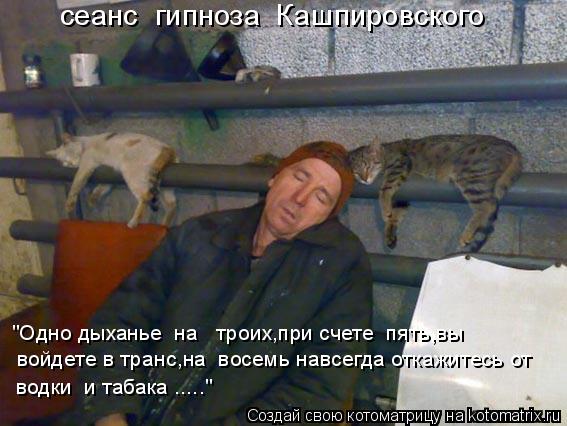 сеанс гипноза Кашпировского "Одно дыханье на троих,при счете пять,вы войдете в транс,на восем... Котоматрица: сеанс гипноза Кашпировского "Одно дыханье на троих,при счете пять,вы войдете в транс,на восемь навсегда откажитесь от водки и табака ...