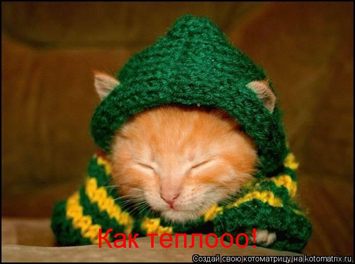 Как теплооо!... Котоматрица: Как теплооо!
