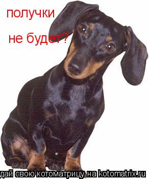 получки не будет?... Котоматрица: получки не будет?