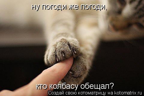 ну погоди же погоди, кто колбасу обещал?... Котоматрица: ну погоди же погоди, кто колбасу обещал?