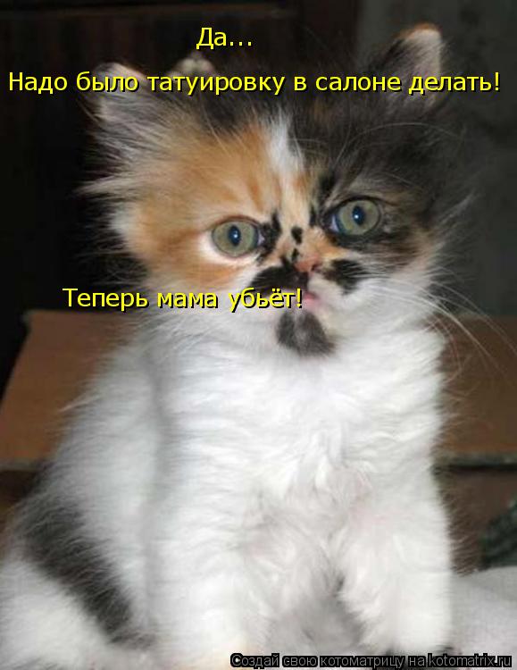 Да... Надо было татуировку в салоне делать! Теперь мама убьёт!... Котоматрица: Да... Надо было татуировку в салоне делать! Теперь мама убьёт!