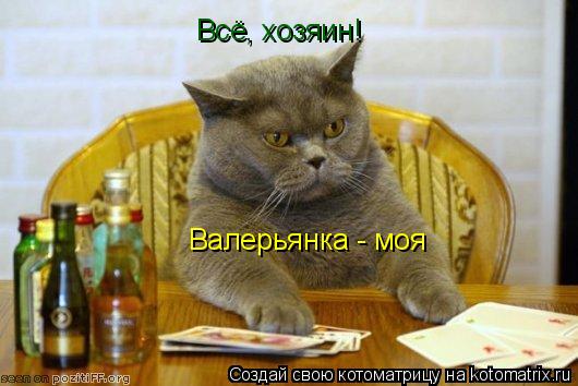Всё, хозяин! Валерьянка - моя... Котоматрица: Всё, хозяин! Валерьянка - моя