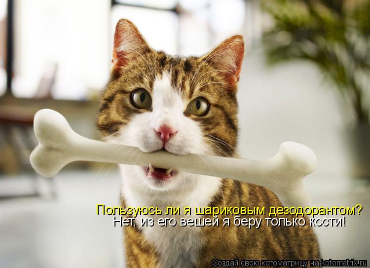 Пользуюсь ли я шариковым дезодорантом? Нет, из его вешей я беру только кости!... Котоматрица: Пользуюсь ли я шариковым дезодорантом? Нет, из его вешей я беру только кости!