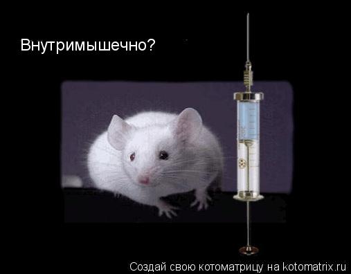 Внутримышечно?... Котоматрица: Внутримышечно?