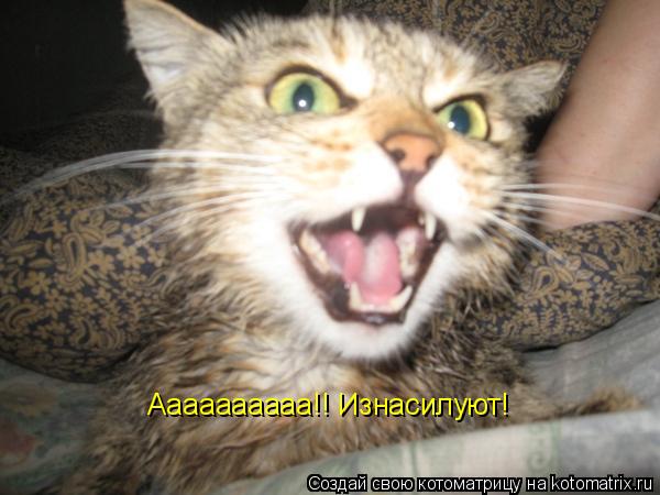 Аааааааааа!! Изнасилуют!... Котоматрица: Аааааааааа!! Изнасилуют!