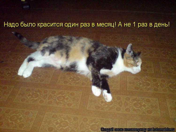 Надо было красится один раз в месяц! А не 1 раз в день!... Котоматрица: Надо было красится один раз в месяц! А не 1 раз в день!