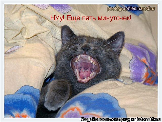 НУу! Ещё пять минуточек!... Котоматрица: НУу! Ещё пять минуточек!
