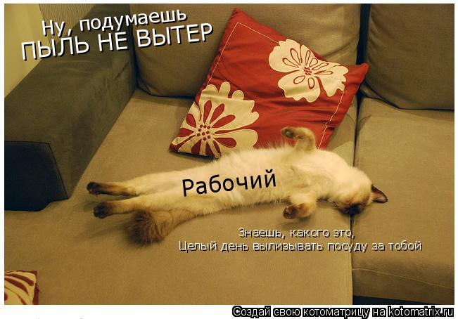 Рабочий Ну, подумаешь ПЫЛЬ НЕ ВЫТЕР Целый день вылизывать посуду за тобой Знаешь, какого это,... Котоматрица: Рабочий Ну, подумаешь ПЫЛЬ НЕ ВЫТЕР Целый день вылизывать посуду за тобой Знаешь, какого это,