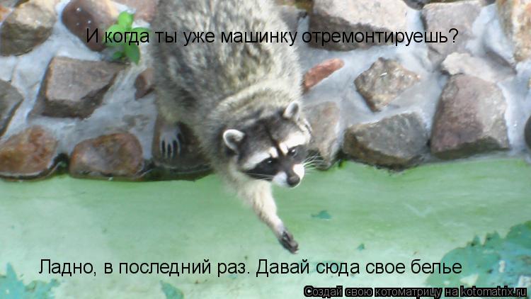 И когда ты уже машинку отремонтирешь? Ладно, в последний раз. Давай сюда свое белье И когда ты уже ма... Котоматрица: И когда ты уже машинку отремонтирешь? Ладно, в последний раз. Давай сюда свое белье И когда ты уже машинку отремонтируешь?