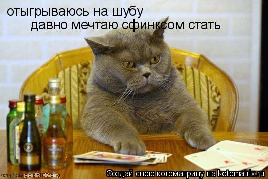 отыгрываюсь на шубу давно мечтаю сфинксом стать... Котоматрица: отыгрываюсь на шубу давно мечтаю сфинксом стать