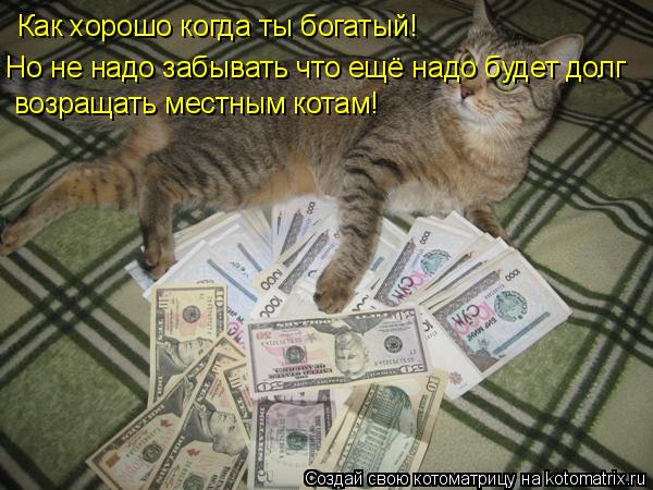 Как хорошо когда ты богатый! Но не надо забывать что ещё надо будет долг возращать местным котам!... Котоматрица: Как хорошо когда ты богатый! Но не надо забывать что ещё надо будет долг возращать местным котам!