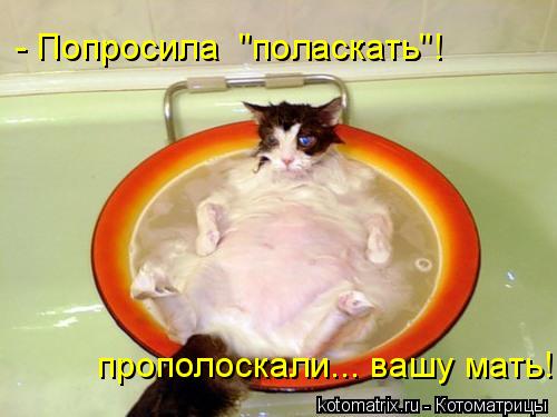 - Попросила "поласкать"! прополоскали... вашу мать!... Котоматрица: - Попросила "поласкать"! прополоскали... вашу мать!