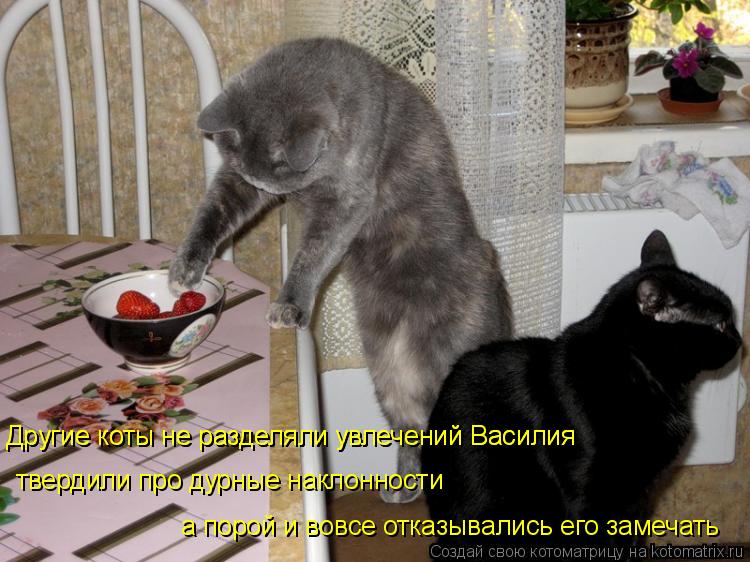 а порой и вовсе отказывались его замечать твердили про дурные наклонности Другие коты не разделяли ув... Котоматрица: а порой и вовсе отказывались его замечать твердили про дурные наклонности Другие коты не разделяли увлечений Василия Другие коты не разде