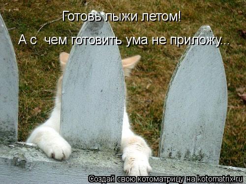 Готовь лыжи летом! А с чем готовить ума не приложу...... Котоматрица: Готовь лыжи летом! А с чем готовить ума не приложу...