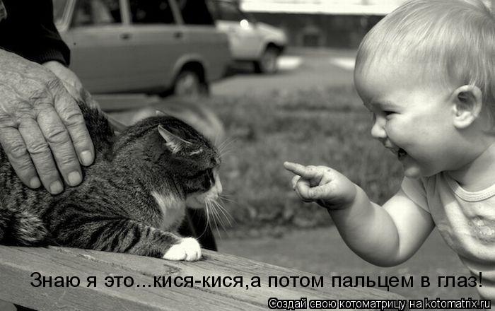 Знаю я это...кися-кися,а потом пальцем в глаз!... Котоматрица: Знаю я это...кися-кися,а потом пальцем в глаз!