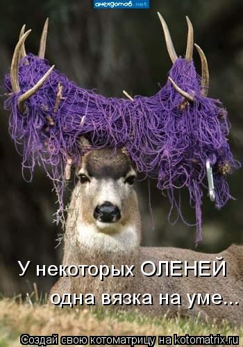 Котоматрица: У некоторых ОЛЕНЕЙ  одна вязка на уме...