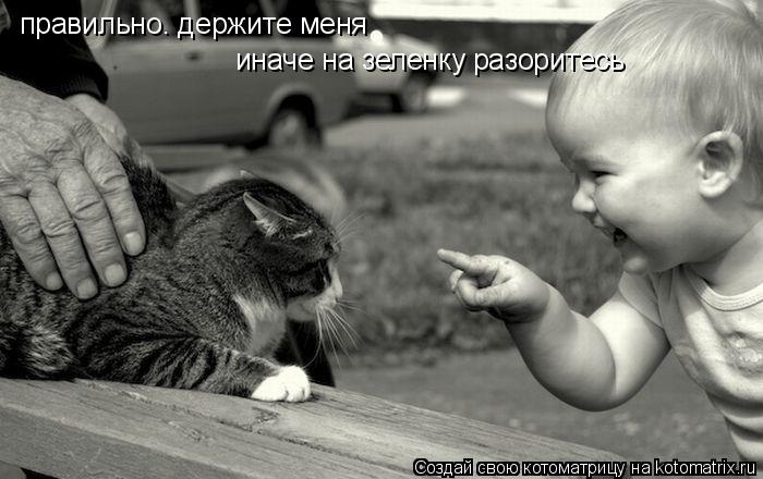 правильно. держите меня иначе на зеленку разоритесь... Котоматрица: правильно. держите меня иначе на зеленку разоритесь