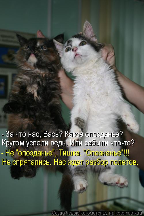 Котоматрица: - За что нас, Вась? Какое опозданье? - Не "опозданье", Тишка. "Опознанье"!!! Не спрятались. Нас ждет разбор полетов. Кругом успели ведь. Или забыли