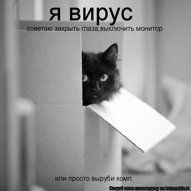 я вирус советаю закрыть глаза,выключить монитор или просто выруби комп.... Котоматрица: я вирус советаю закрыть глаза,выключить монитор или просто выруби комп.