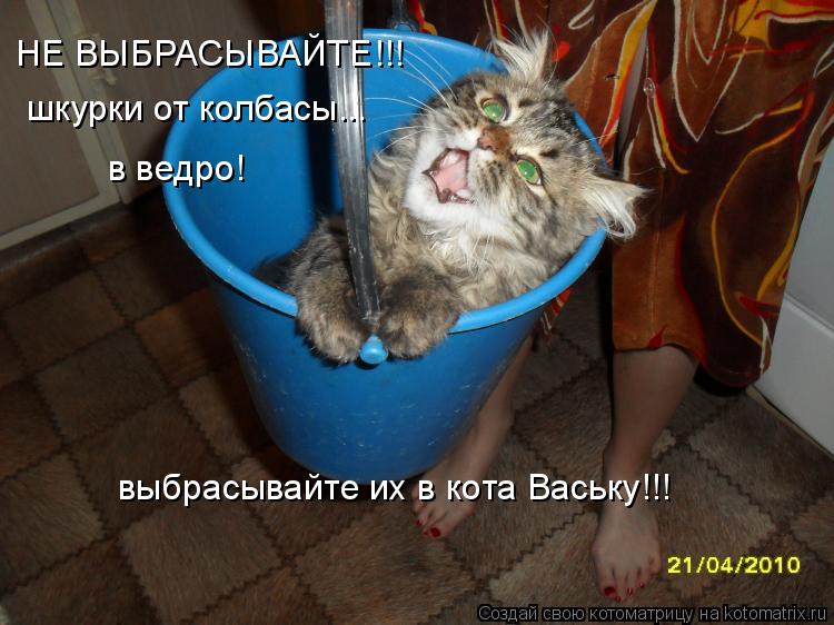 НЕ ВЫБРАСЫВАЙТЕ!!! шкурки от колбасы... в ведро! выбрасывайте их в кота Ваську!!!... Котоматрица: НЕ ВЫБРАСЫВАЙТЕ!!! шкурки от колбасы... в ведро! выбрасывайте их в кота Ваську!!!