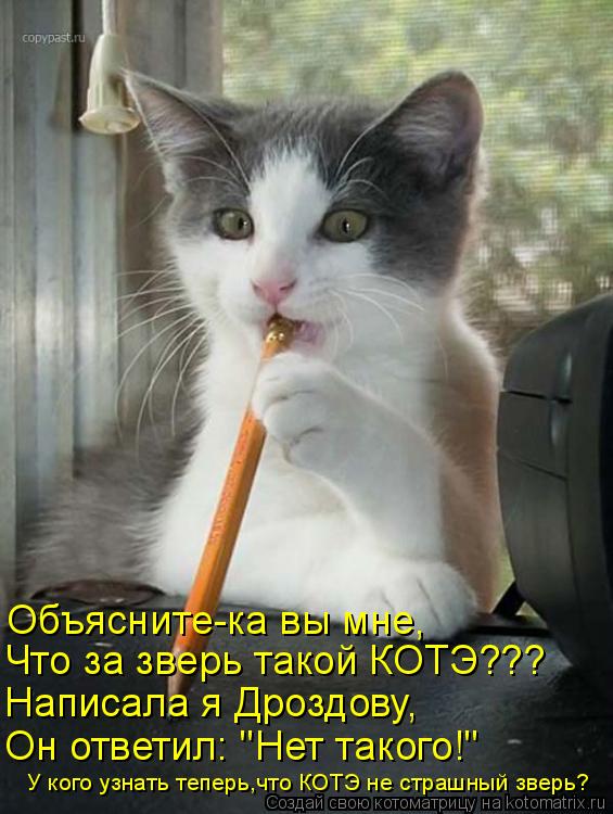 Объясните-ка вы мне, Что за зверь такой КОТЭ??? Написала я Дроздову, Он ответил: "Нет такого!" У кого... Котоматрица: Объясните-ка вы мне, Что за зверь такой КОТЭ??? Написала я Дроздову, Он ответил: "Нет такого!" У кого узнать теперь,что КОТЭ не страшный зверь?