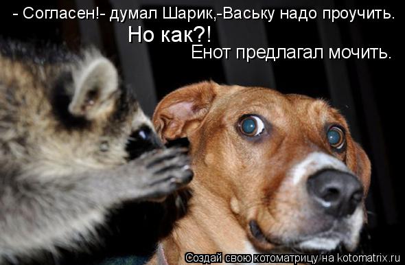- Согласен!- думал Шарик,-Ваську надо проучить. Но как?! Енот предлагал мочить.... Котоматрица: - Согласен!- думал Шарик,-Ваську надо проучить. Но как?! Енот предлагал мочить.