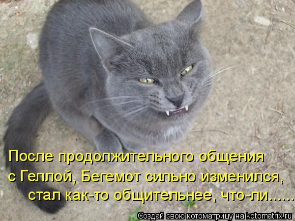 После продолжительного общения с Геллой, Бегемот сильно изменился, стал как-то общительнее, что-ли.... Котоматрица: После продолжительного общения с Геллой, Бегемот сильно изменился, стал как-то общительнее, что-ли......