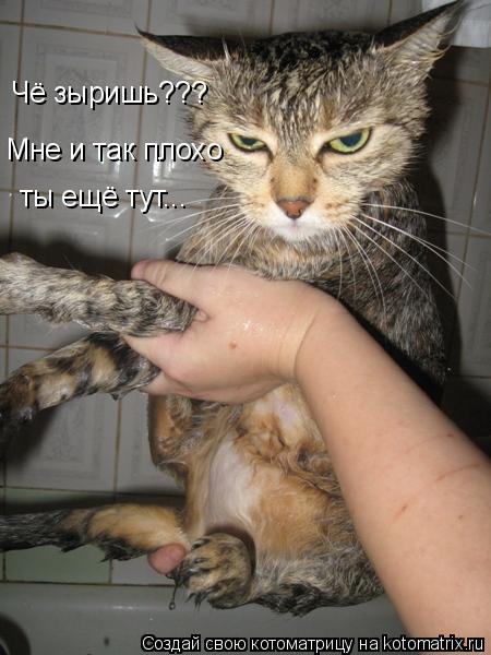 Чё зыришь??? Мне и так плохо ты ещё тут...... Котоматрица: Чё зыришь??? Мне и так плохо ты ещё тут...