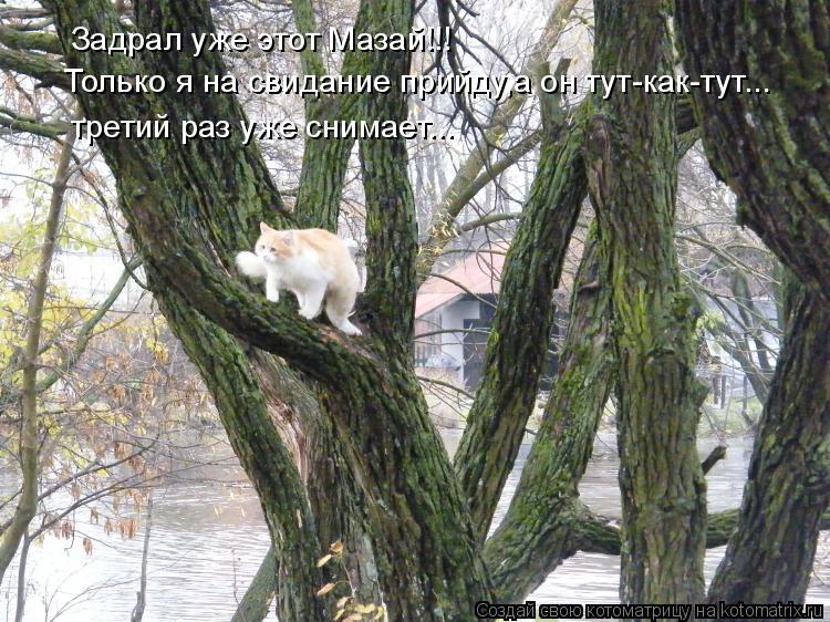 Задрал уже этот Мазай!!! Только я на свидание прийду,а он тут-как-тут... третий раз уже снимает...... Котоматрица: Задрал уже этот Мазай!!! Только я на свидание прийду,а он тут-как-тут... третий раз уже снимает...