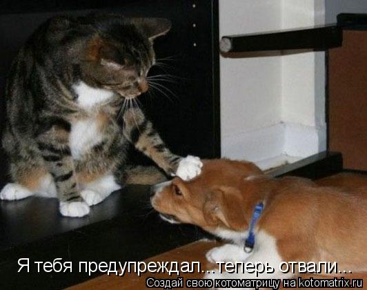 Котоматрица: Я тебя предупреждал...теперь отвали...
