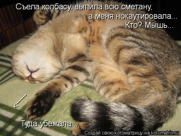 -----> Съела колбасу, выпила всю сметану, а меня нокаутировала... Кто? Мышь... Туда убежала...... Котоматрица: -----> Съела колбасу, выпила всю сметану, а меня нокаутировала... Кто? Мышь... Туда убежала...