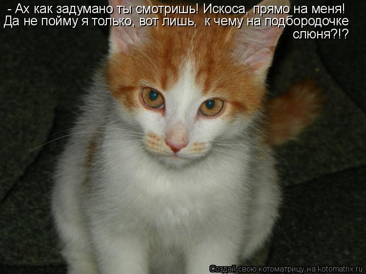 - Ах как задумано ты смотришь! Искоса, прямо на меня! Да не пойму я только, вот лишь, к чему на подб... Котоматрица: - Ах как задумано ты смотришь! Искоса, прямо на меня! Да не пойму я только, вот лишь, к чему на подбородочке слюня?!?