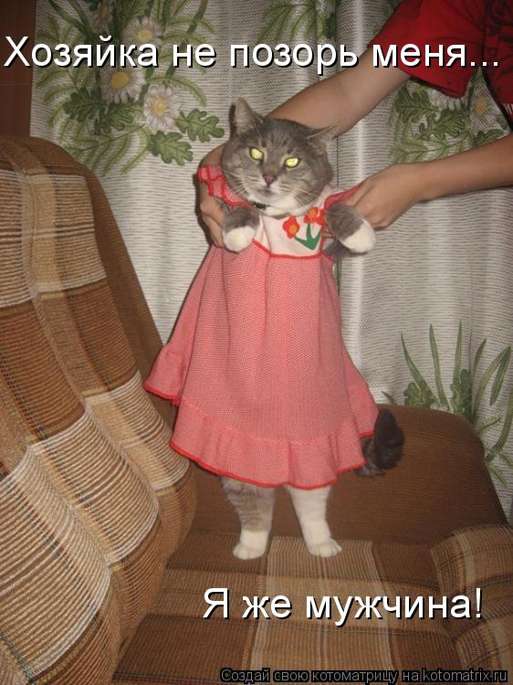 Хозяйка не позорь меня... Я же мужчина!... Котоматрица: Хозяйка не позорь меня... Я же мужчина!