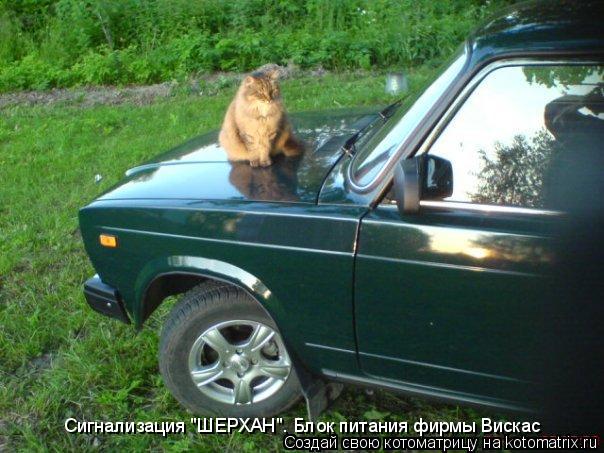Сигнализация "ШЕРХАН". Блок питания фирмы Вискас... Котоматрица: Сигнализация "ШЕРХАН". Блок питания фирмы Вискас