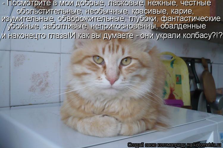 - Посмотрите в мои добрые, ласковые, нежные, честные обольстительные, необычные, красивые, карие, изу... Котоматрица: - Посмотрите в мои добрые, ласковые, нежные, честные обольстительные, необычные, красивые, карие, изумительные, обворожительные, глубоки, фа