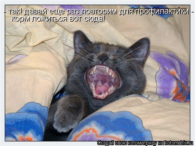 - так! давай еще раз повторим для профилактики - корм ложиться вот сюда!... Котоматрица: - так! давай еще раз повторим для профилактики - корм ложиться вот сюда!