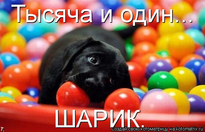 http://kotomatrix.ru/images/lolz/2010/09/04/670855.jpg