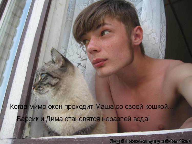 Когда мимо окон проходит Маша со своей кошкой... Барсик и Дима становятся неразлей вода!... Котоматрица: Когда мимо окон проходит Маша со своей кошкой... Барсик и Дима становятся неразлей вода!