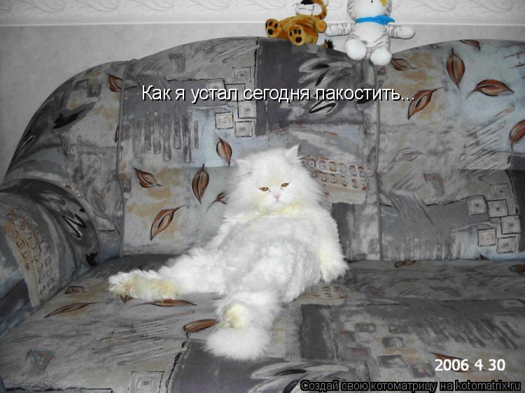 Как я устал сегодня пакостить...... Котоматрица: Как я устал сегодня пакостить...