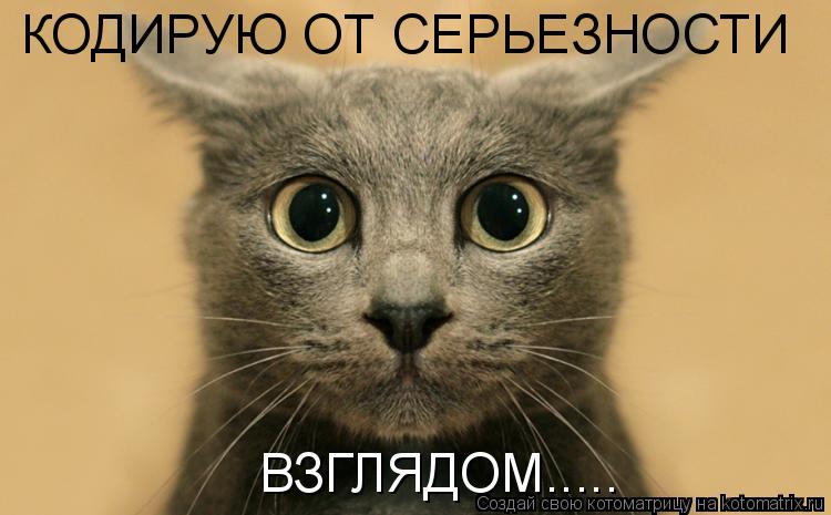 КОДИРУЮ ОТ СЕРЬЕЗНОСТИ ВЗГЛЯДОМ........ Котоматрица: КОДИРУЮ ОТ СЕРЬЕЗНОСТИ ВЗГЛЯДОМ.....