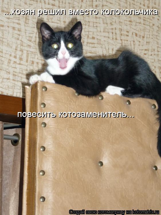 ...хозян решил вместо колокольчика повесить котозаменитель...... Котоматрица: ...хозян решил вместо колокольчика повесить котозаменитель...
