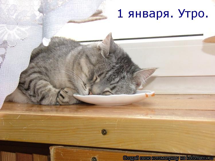 1 января. Утро.... Котоматрица: 1 января. Утро.