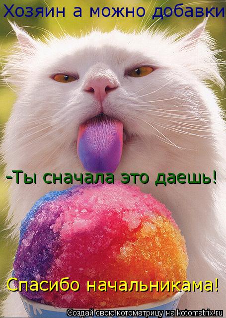 Хозяин а можно добавки -Ты сначала это даешь! Спасибо начальникама!... Котоматрица: Хозяин а можно добавки -Ты сначала это даешь! Спасибо начальникама!