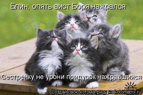Сестрёнку не урони придурок нажравшийся Блин, опять аист Боря нажрался... Котоматрица: Сестрёнку не урони придурок нажравшийся Блин, опять аист Боря нажрался